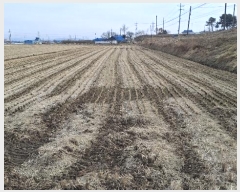  2025Ÿ54 泲 걺   478      ()