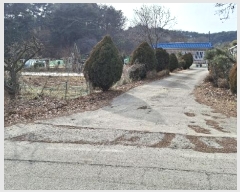  2025Ÿ54 泲 걺   478      ()