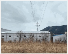  2025Ÿ221 泲 ɽ ֱ  392-1      