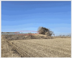  2025Ÿ��269  �����