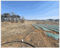  2025Ÿ��269  �����