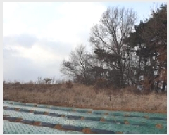  2025Ÿ��269  �����