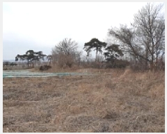  2025Ÿ��269  �����