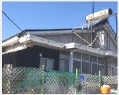  2025Ÿ��313  ���ð��