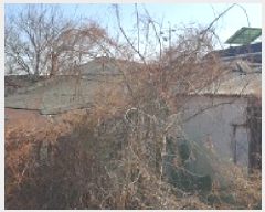  2025Ÿ��313  ���ð��