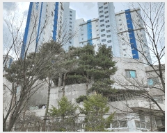  2025Ÿ467 泲 ȫ ȫ Ű渮 1370 ѿ︶ƿƮ 101 9902ȣ   Ʈ