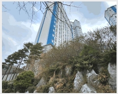  2025Ÿ467 泲 ȫ ȫ Ű渮 1370 ѿ︶ƿƮ 101 9902ȣ   Ʈ