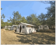  2025Ÿ��535  ���(ķ����)���