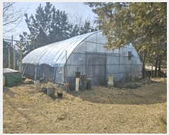  2025Ÿ��535  ���(ķ����)���