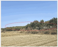  2025Ÿ��535  ���(ķ����)���