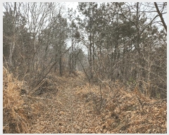  2025Ÿ��740  �Ӿ߰��