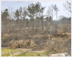  2025Ÿ��740  �Ӿ߰��