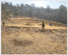  2025Ÿ��740  �Ӿ߰��