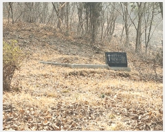  2025Ÿ��740  �Ӿ߰��