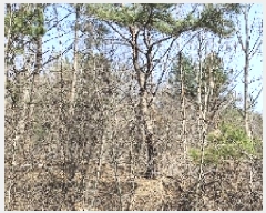  2025Ÿ��740  �Ӿ߰��