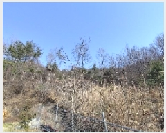  2025Ÿ��740  �Ӿ߰��