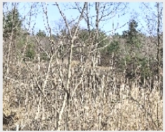  2025Ÿ��740  �Ӿ߰��