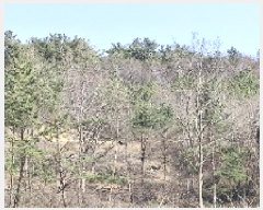  2025Ÿ��740  �Ӿ߰��