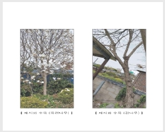  2025Ÿ��894  �ٸ����ð��