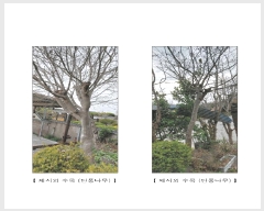  2025Ÿ��894  �ٸ����ð��