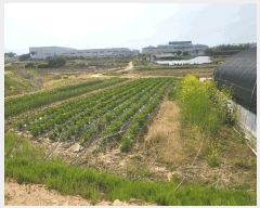  2025Ÿ��1006  �����