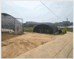  2025Ÿ��1006  �����