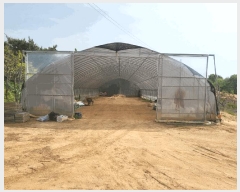  2025Ÿ��1006  �����