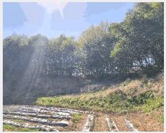  2025Ÿ��1010 �泲 ȫ���� ���θ� ���� ��40      ����(�Ӿ�)���