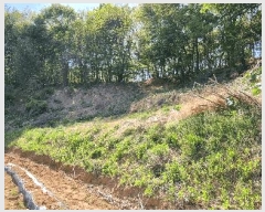  2025Ÿ��1010 �泲 ȫ���� ���θ� ���� ��40      ����(�Ӿ�)���