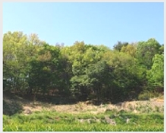  2025Ÿ��1010 �泲 ȫ���� ���θ� ���� ��40      ����(�Ӿ�)���