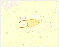  2025Ÿ��1010 �泲 ȫ���� ���θ� ���� ��40      ����(�Ӿ�)���