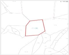  2025Ÿ��1010 �泲 ȫ���� ���θ� ���� ��40      ����(�Ӿ�)���