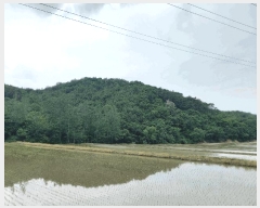  2025Ÿ��1028  �Ӿ߰��