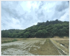  2025Ÿ��1028  �Ӿ߰��