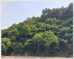  2025Ÿ��1028  �Ӿ߰��