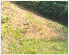  2025Ÿ��1028  �Ӿ߰��