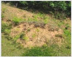  2025Ÿ��1028  �Ӿ߰��