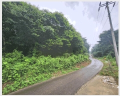  2025Ÿ��1036  �Ӿ߰��