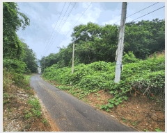  2025Ÿ��1036  �Ӿ߰��