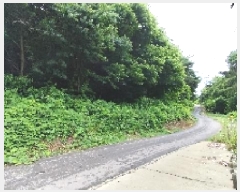  2025Ÿ��1036  �Ӿ߰��