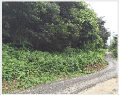  2025Ÿ��1036  �Ӿ߰��