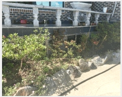  2025Ÿ��1051  ����