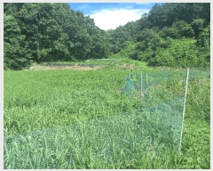  2025Ÿ��1051  ����