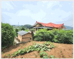  2025Ÿ��1059  ���ð��