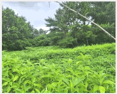  2025Ÿ��1069 �泲 ��õ�� ���θ� ���� 510-5      ����(�Ӿ�)���