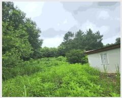  2025Ÿ��1069 �泲 ��õ�� ���θ� ���� 510-5      ����(�Ӿ�)���