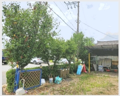  2025Ÿ��1069 �泲 ��õ�� ���θ� ���� 510-5      ����(�Ӿ�)���