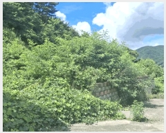  2025Ÿ��1110 �泲 ���걺 ����� ��ġ�� 85-6      ����(�Ӿ�)���