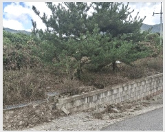  2025Ÿ��1110 �泲 ���걺 ����� ��ġ�� 85-6      ����(�Ӿ�)���