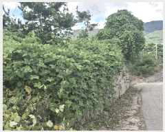  2025Ÿ��1110 �泲 ���걺 ����� ��ġ�� 85-6      ����(�Ӿ�)���